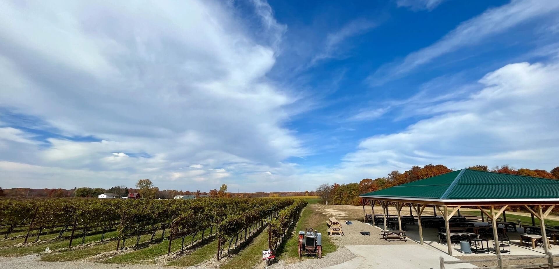 Hero image of vineyard