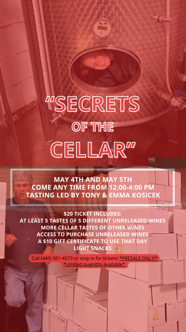 Secrets of the cellar insta story (1)