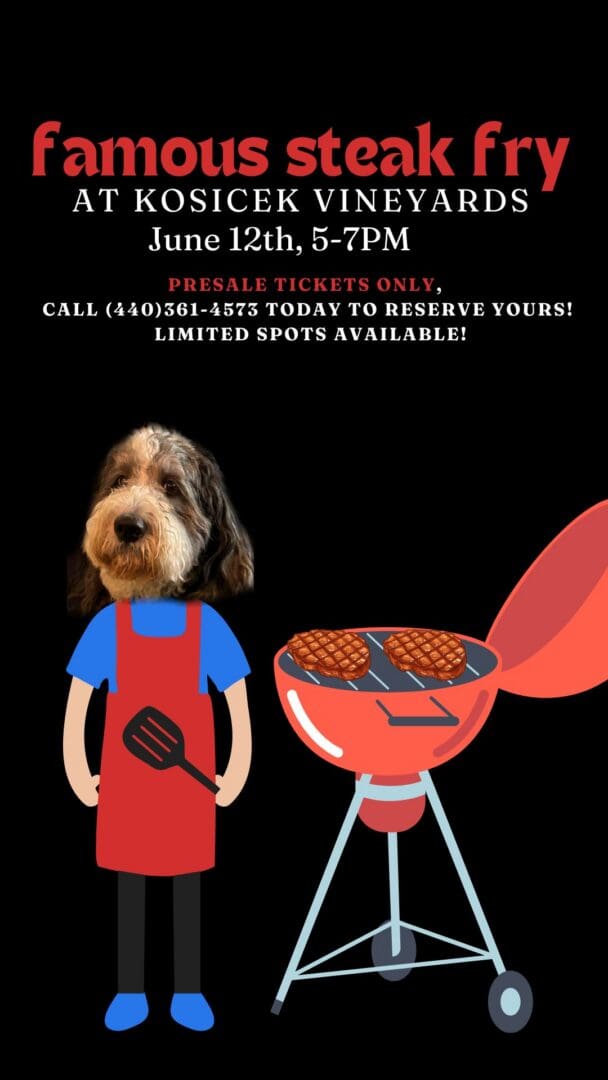 June 12th Famous Steak Fry (Instagram Story)